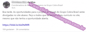 Cobra Brasil offshore Macaé vacantes