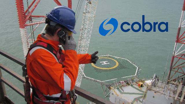Cobra pintores offshore