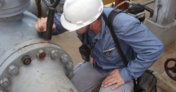 Auxiliares e Inspetores