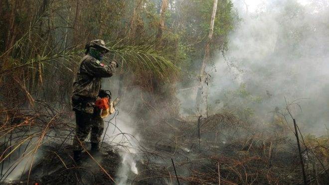 1 bi do fundo da Petrobras para Amazônia
