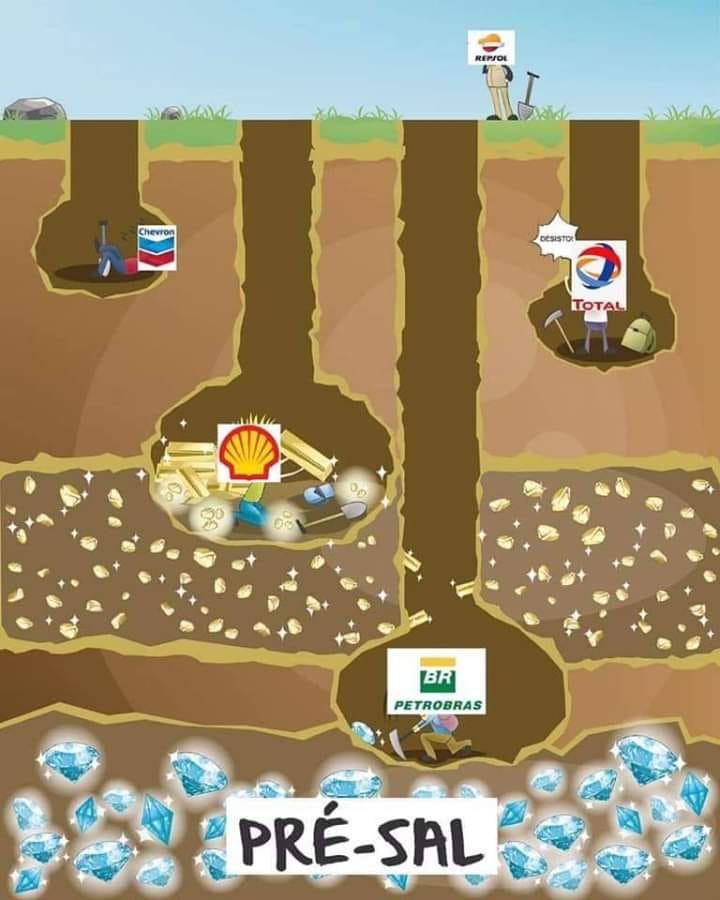 Petrobras privatização governo