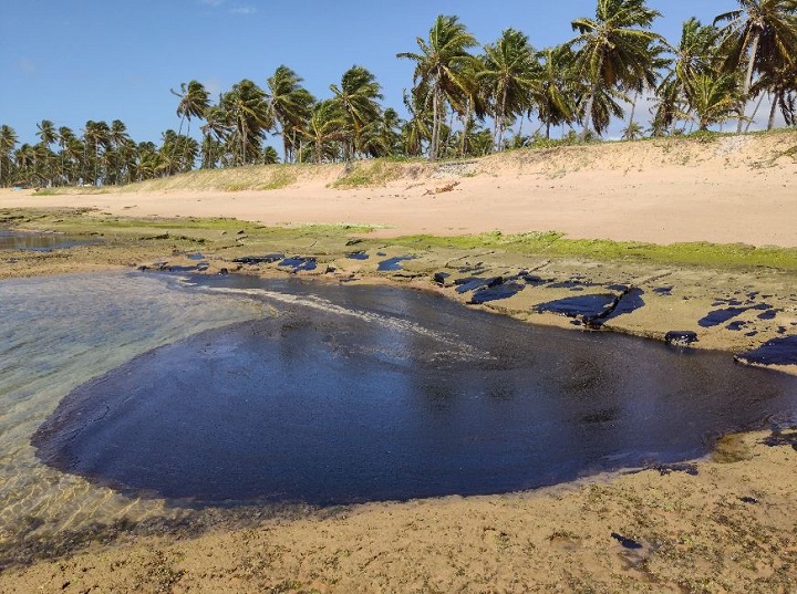 Bolsonaro quer saber se foi intencional