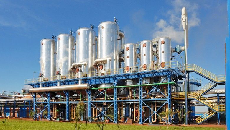 Agronegócio, estágio, São Paulo