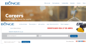 bunge, programa jóvenes ingenieros, vacantes, são paulo