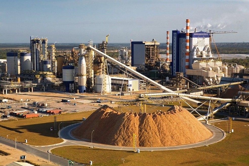 suzano, papel e celulose, vagas de emprego, logística, segurança