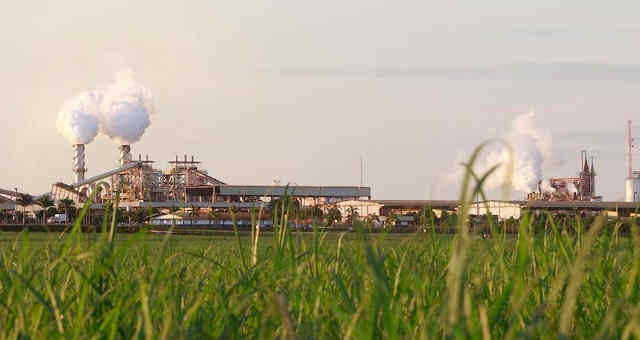 sao martinho, usinas, açúcar e etanol, vagas de emprego