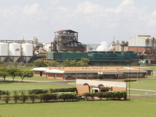 Vagas de emprego e futuras oportunidades Alta Mogiana