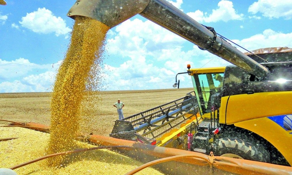 setor agropecuário, demanda, câmbio