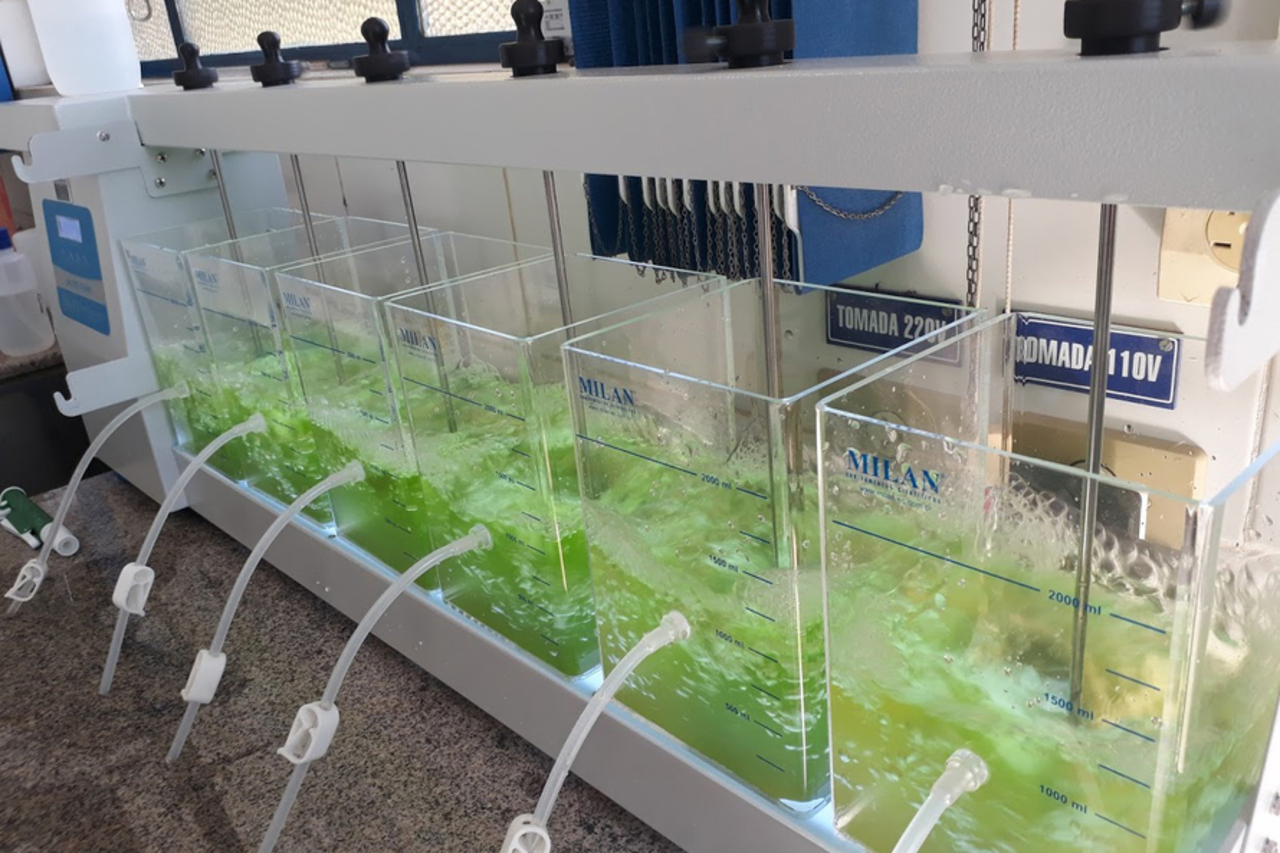 Biocombustível - Paraná - etanol