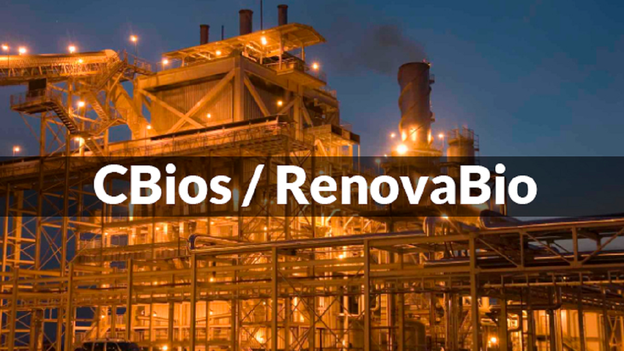 CBios, Raízen, Ipiranga, BR Distribuidora