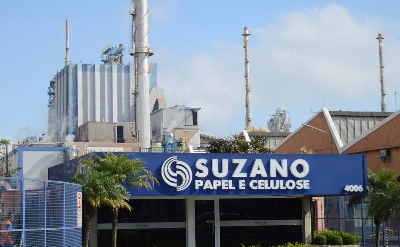 Suzano, investimentos, celulose