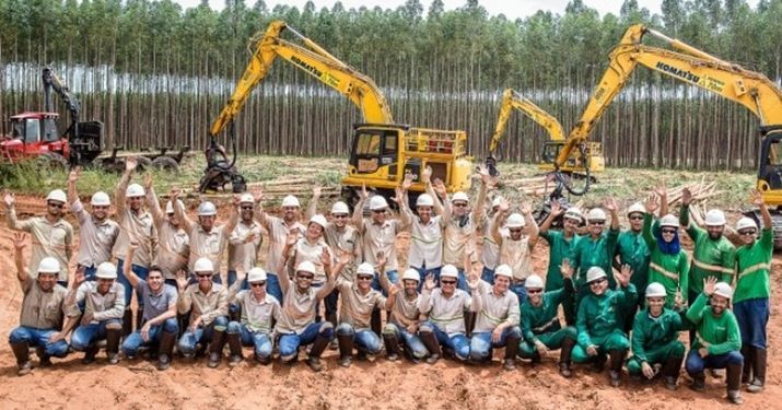 técnico, motorista, operador