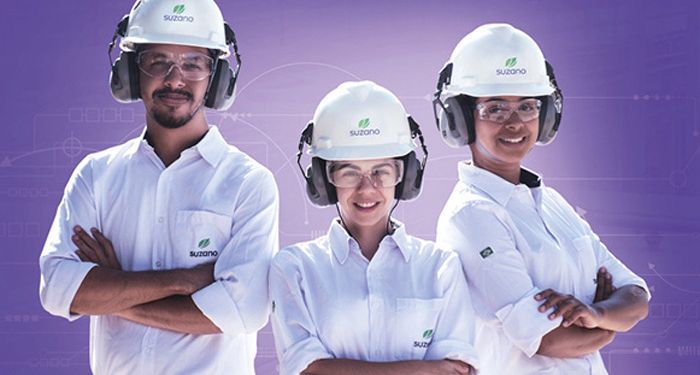 papel e celulose, minas gerais, são paulo