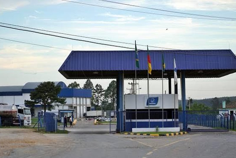 emprego, alimentos, técnico