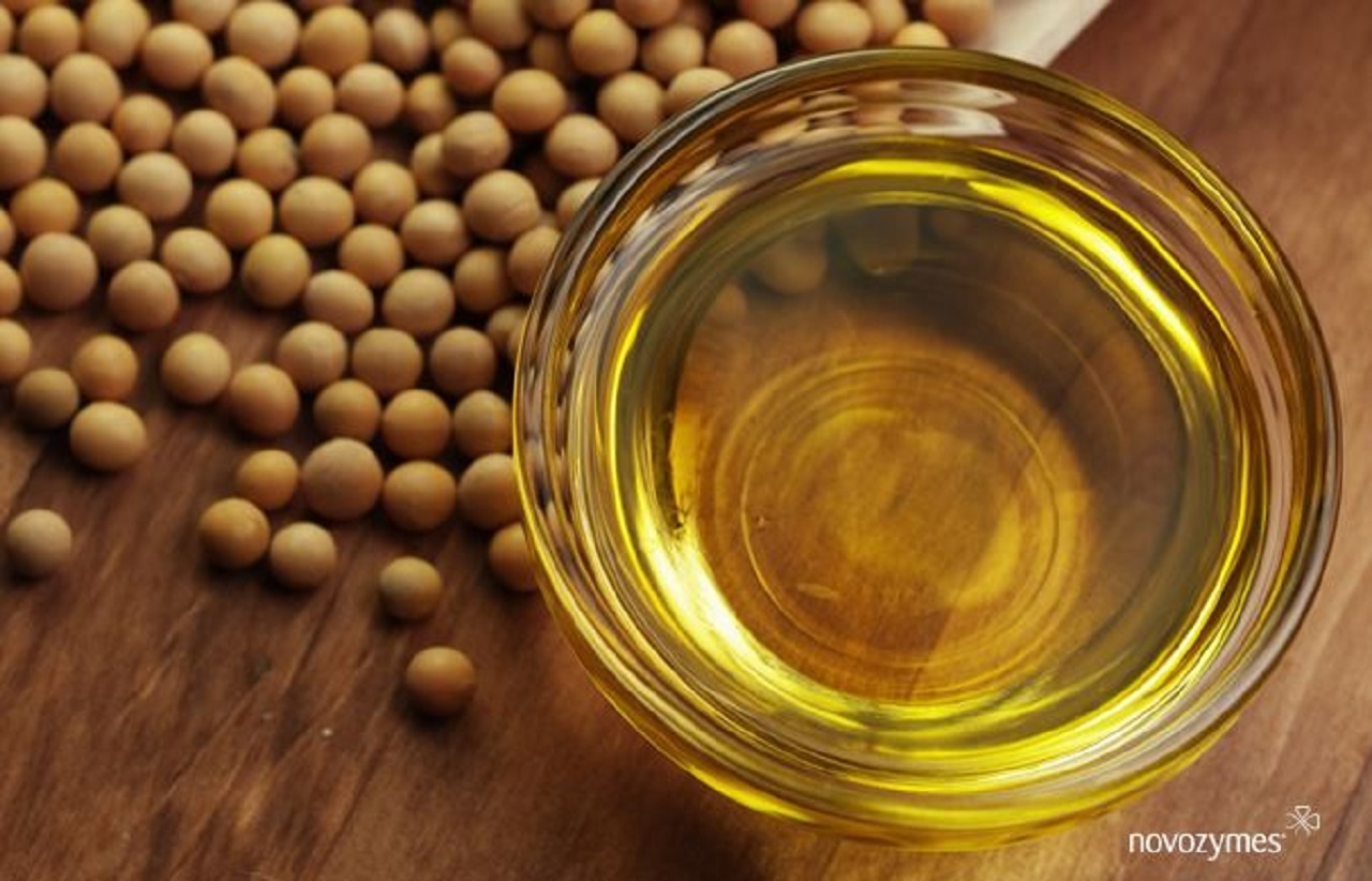 óleos vegetais Novozymes