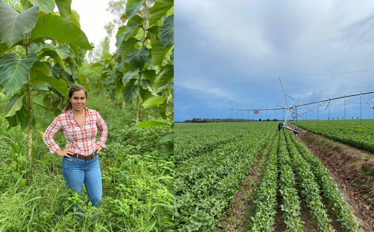 Mulher Agronegócio safra