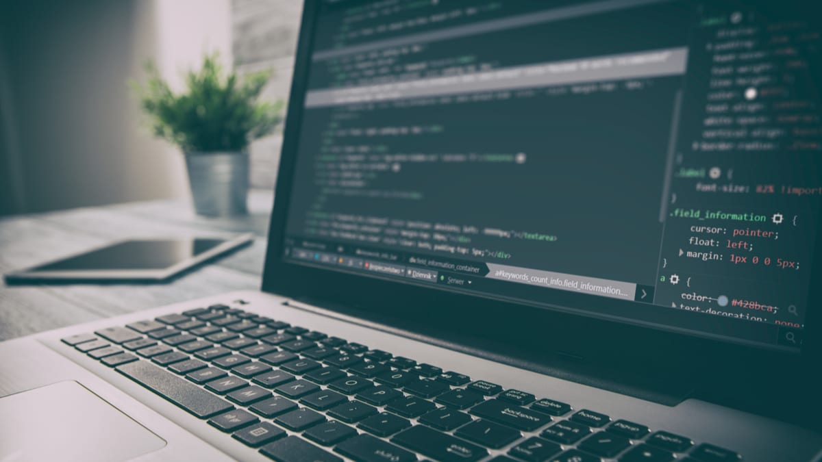 bolsas de estudo, cursos gratuitos, programação