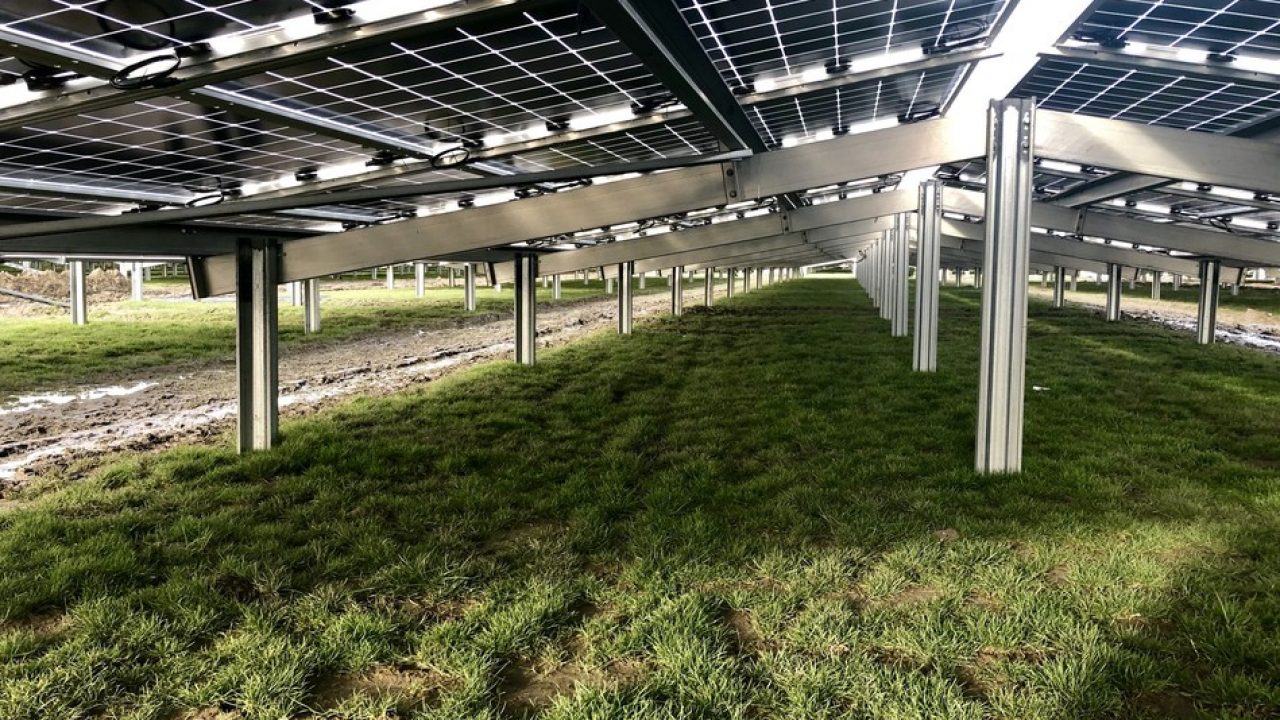 Atlas-Renewable-Energy - energia solar - usina - MG - investimento