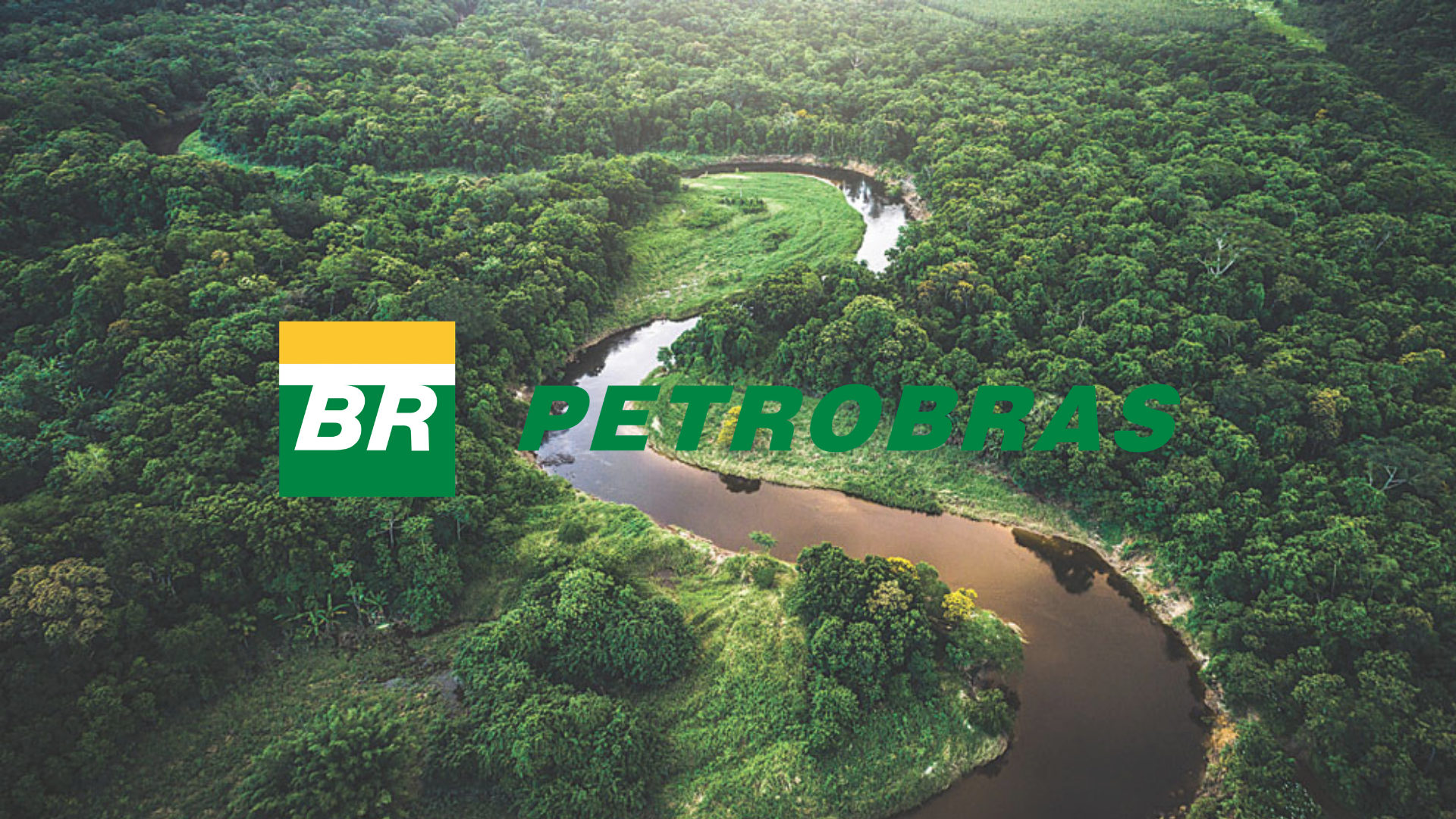 Petrobras – florestas – projetos
