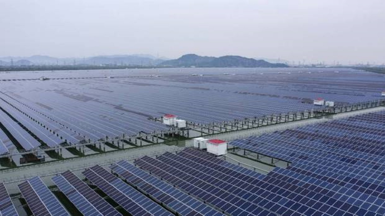 Petrobras - BR distribuidora - energias renováveis