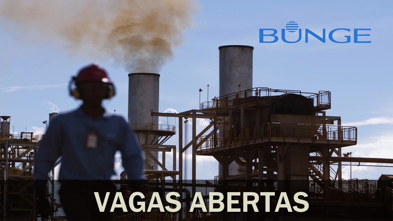 usina - emprego - bunge - fábrica - rj - sp - trainee - pe - to - go - mt - vagas