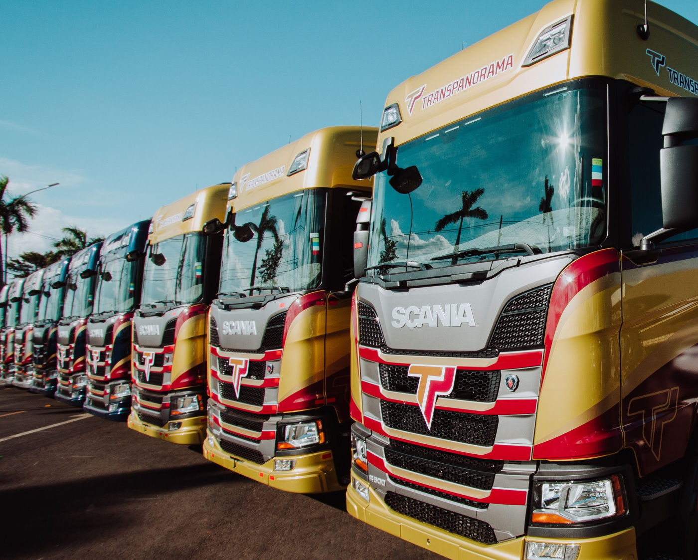 emprego, transportadora, logística, manutenção