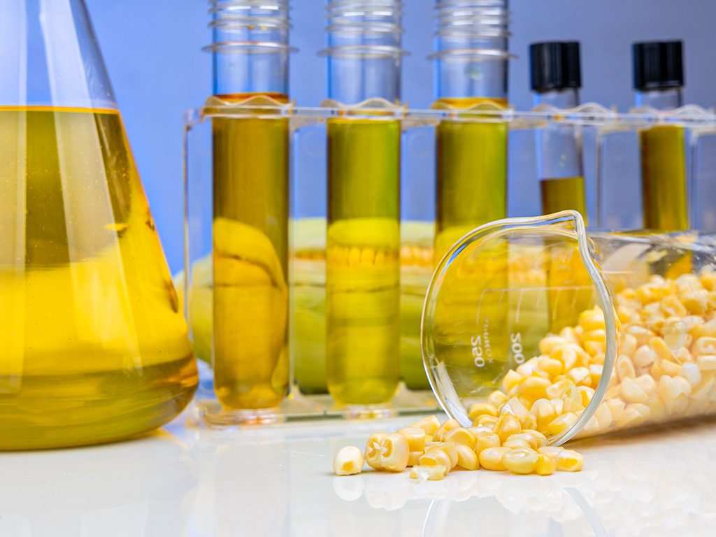 etanol, milho, biocombustíveis