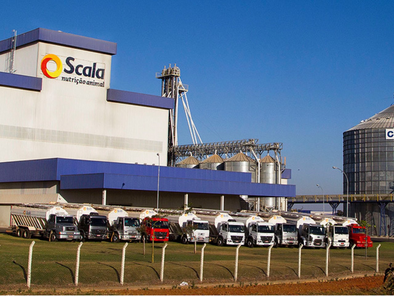 Queijos Scala - programa de estágio - vagas de estágio - estudantes