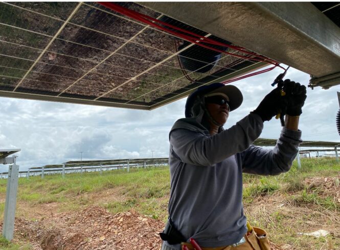 Un área que antes era predominada por hombres, poco a poco va dando espacio para que las mujeres muestren que también pueden realizar perfectamente, la instalación de paneles fotovoltaicos. Fuente: Divulgación