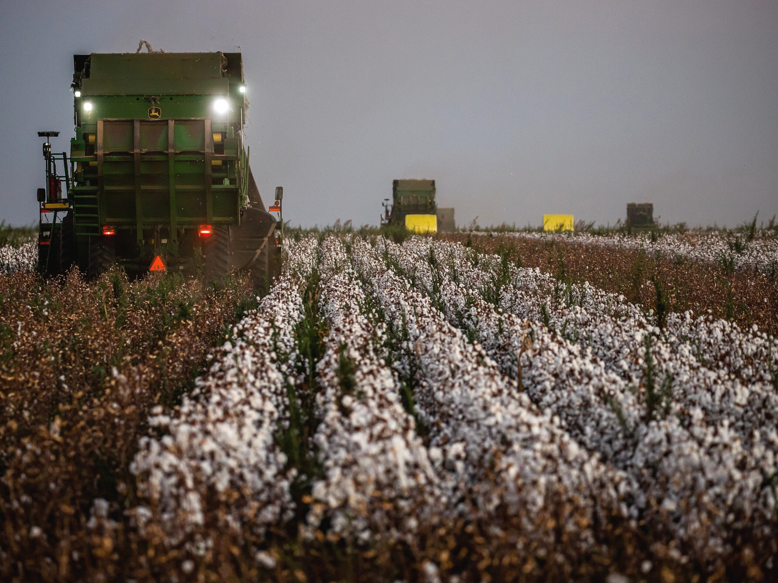 Por que a Petrobras não produz mais fertilizantes no Brasil, passando a ser dependente da importação da Rússia?