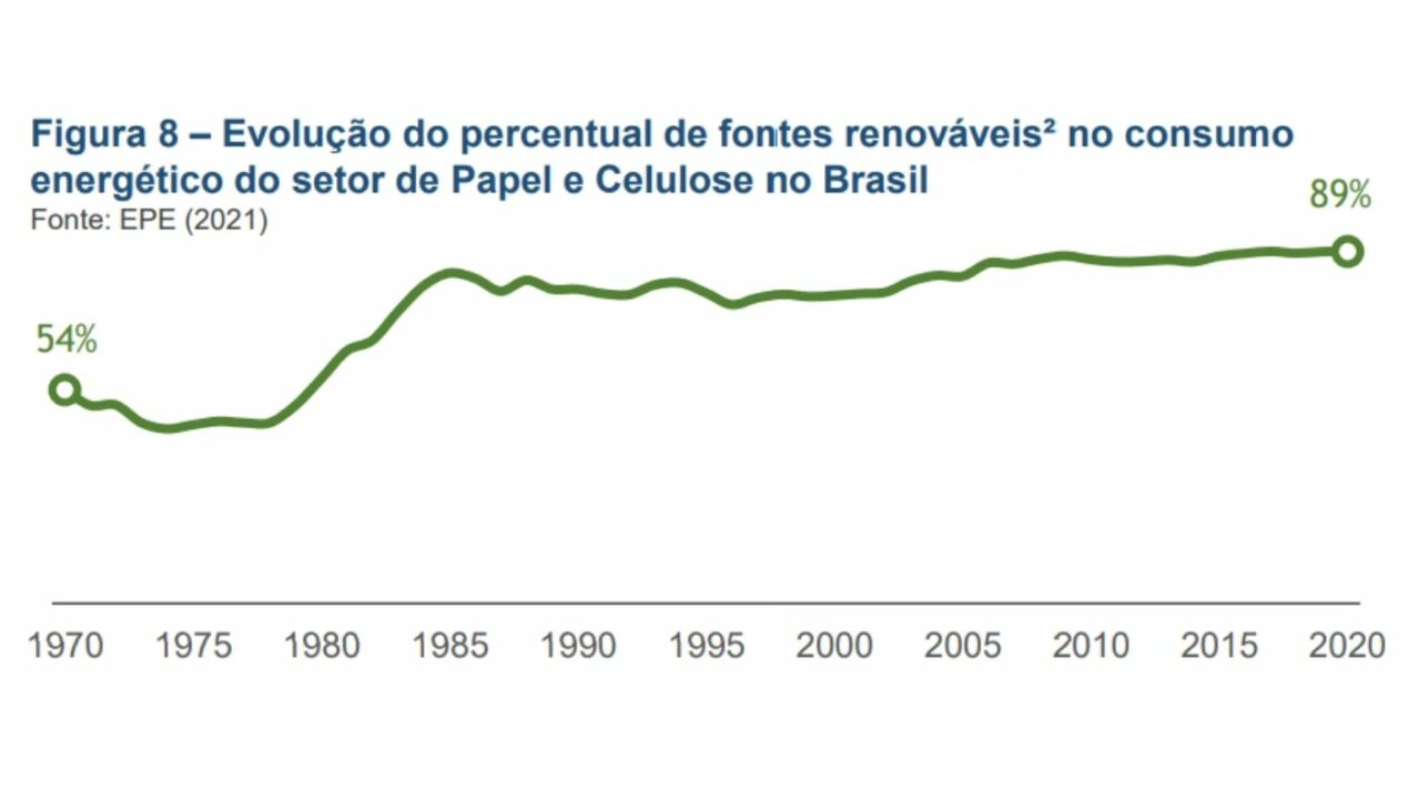 Bracell Celulosa Grandes empresas