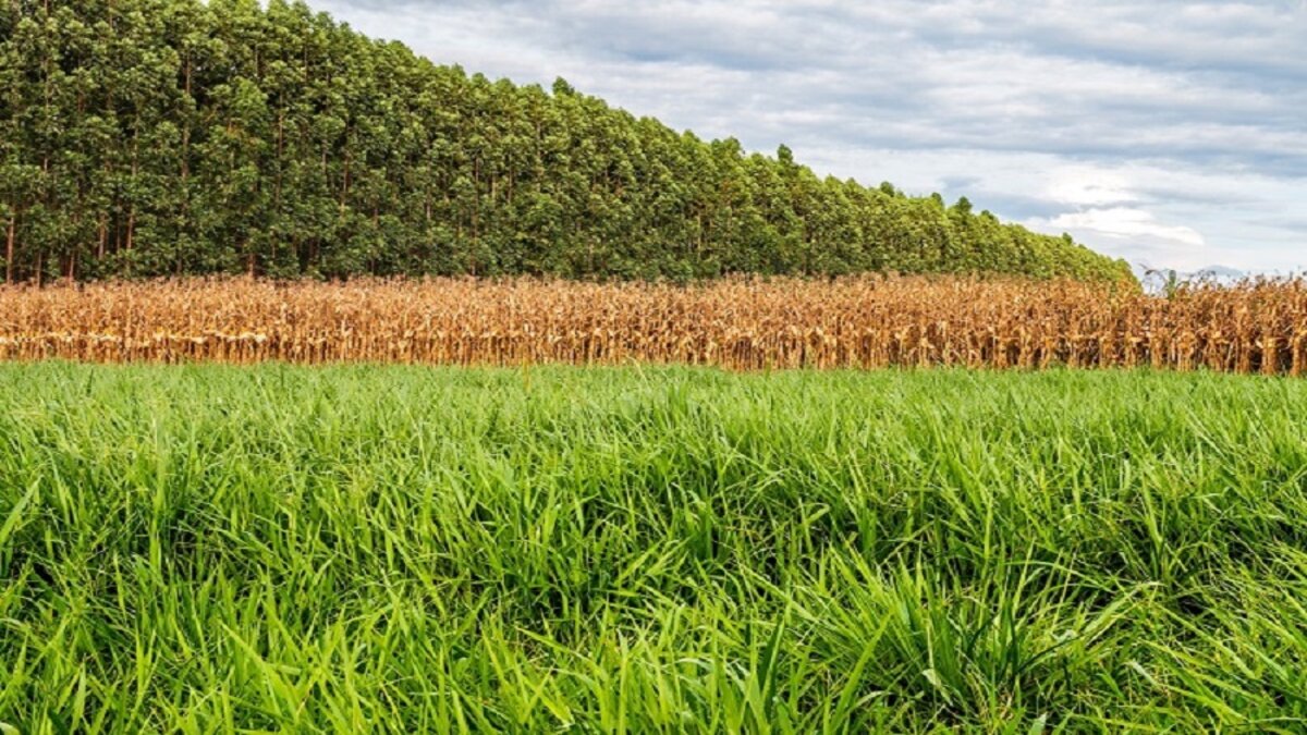 VLI-embrapa-agronegócio-sustentabilidade-inovação