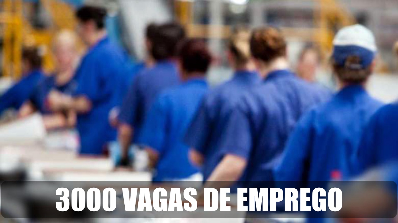 emprego - produção - ensino fundamental - técnico - Rio de Janeiro - São Paulo