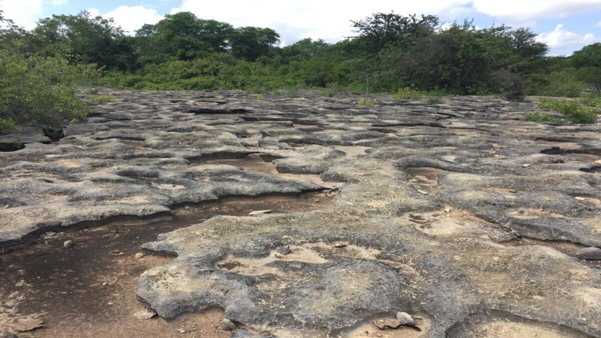 A região de Baraúna, no Rio Grande do Norte, será beneficiada com o novo empreendimento da Belocal no ramo da mineração. Com a licença do Idema, já pode começar os preparativos para a exploração do calcário na região