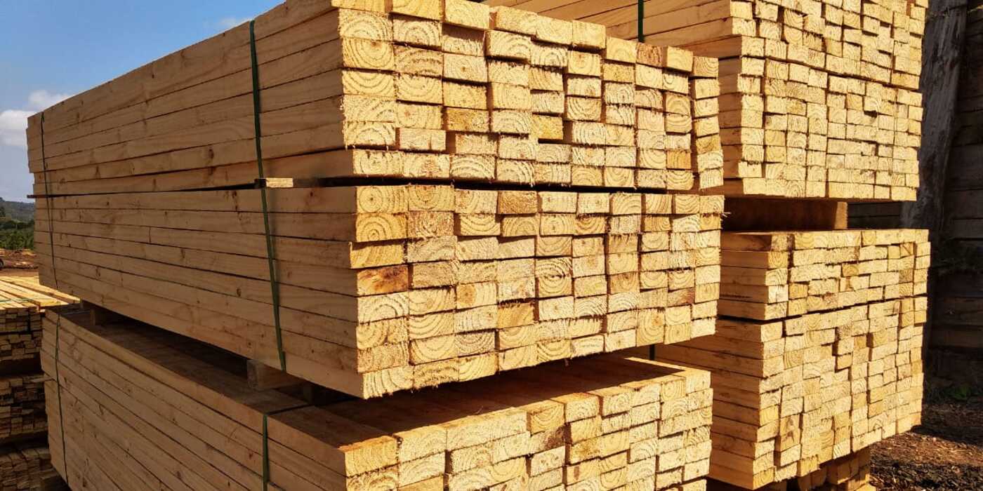 Construção civil: Madeira serrada tem queda acumulada de 32%, mas seu preço, dois anos depois, é o dobro que em 2020! Pandemia e Rússia são propulsores - Canva