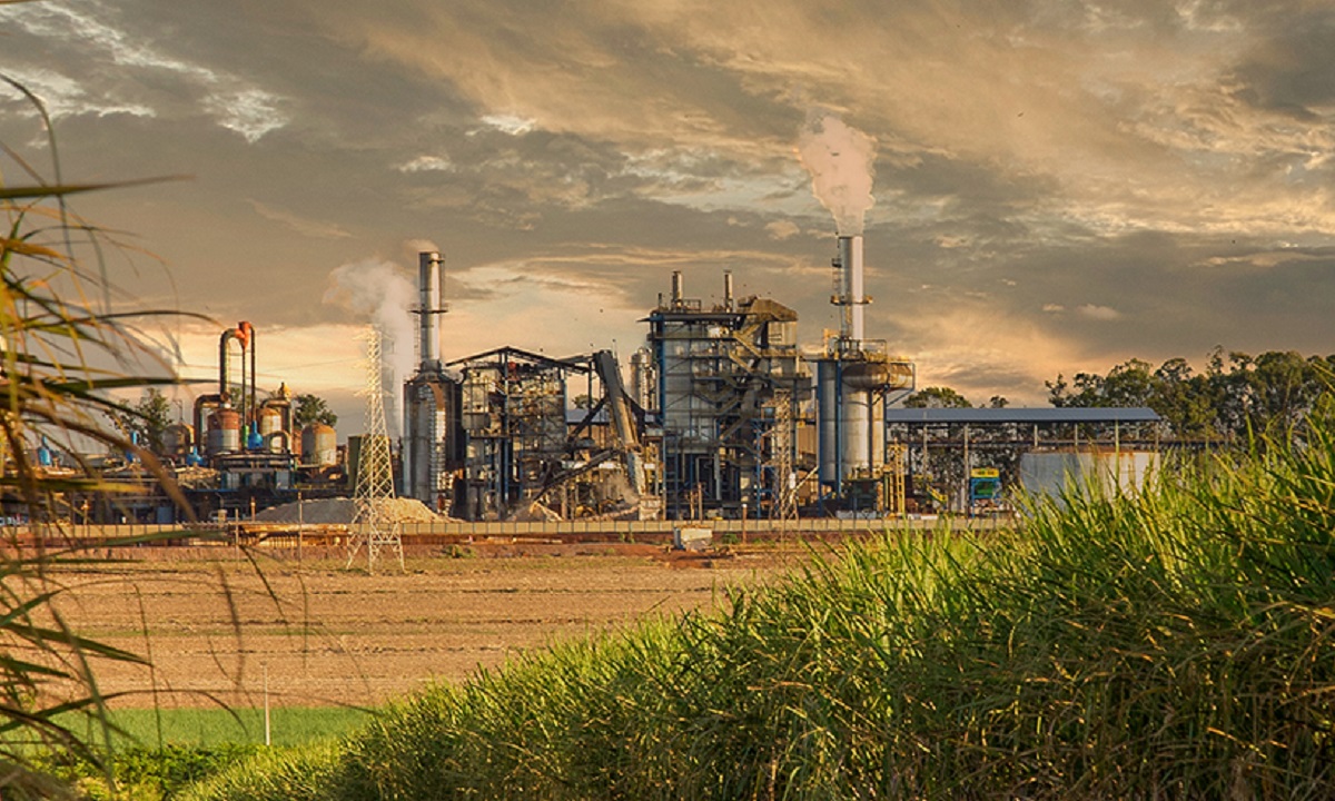 BP Bunge; Raízen; açúcar e etanol