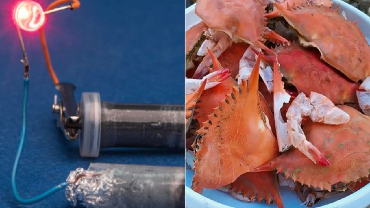 bateria - lítio - preço - energia - carros elétricos