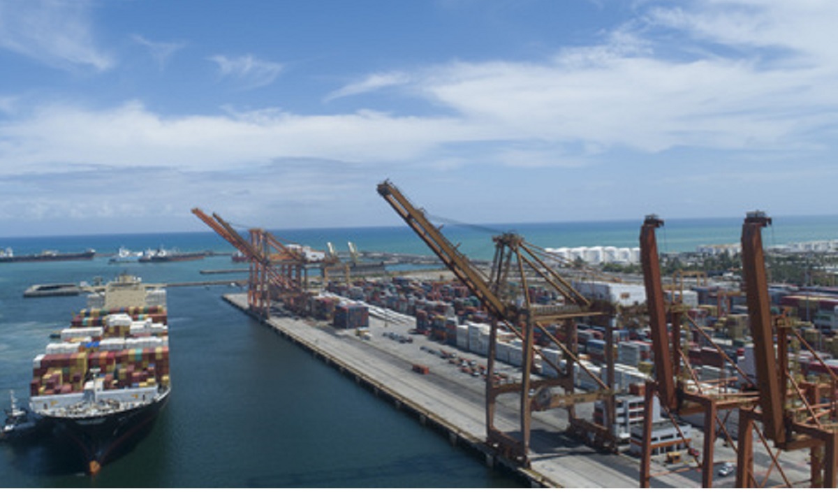 Porto de suape, Porto, emprego