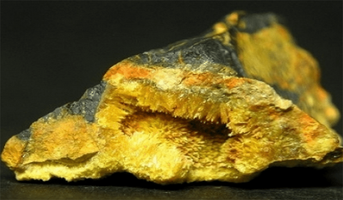 Após parcerias com iniciativas privadas, a INB pretende explorar Urânio para a sua mineração. O Monopólio do mineral foi mantido e estatal conseguiu um pouco mais de autonomia orçamentária