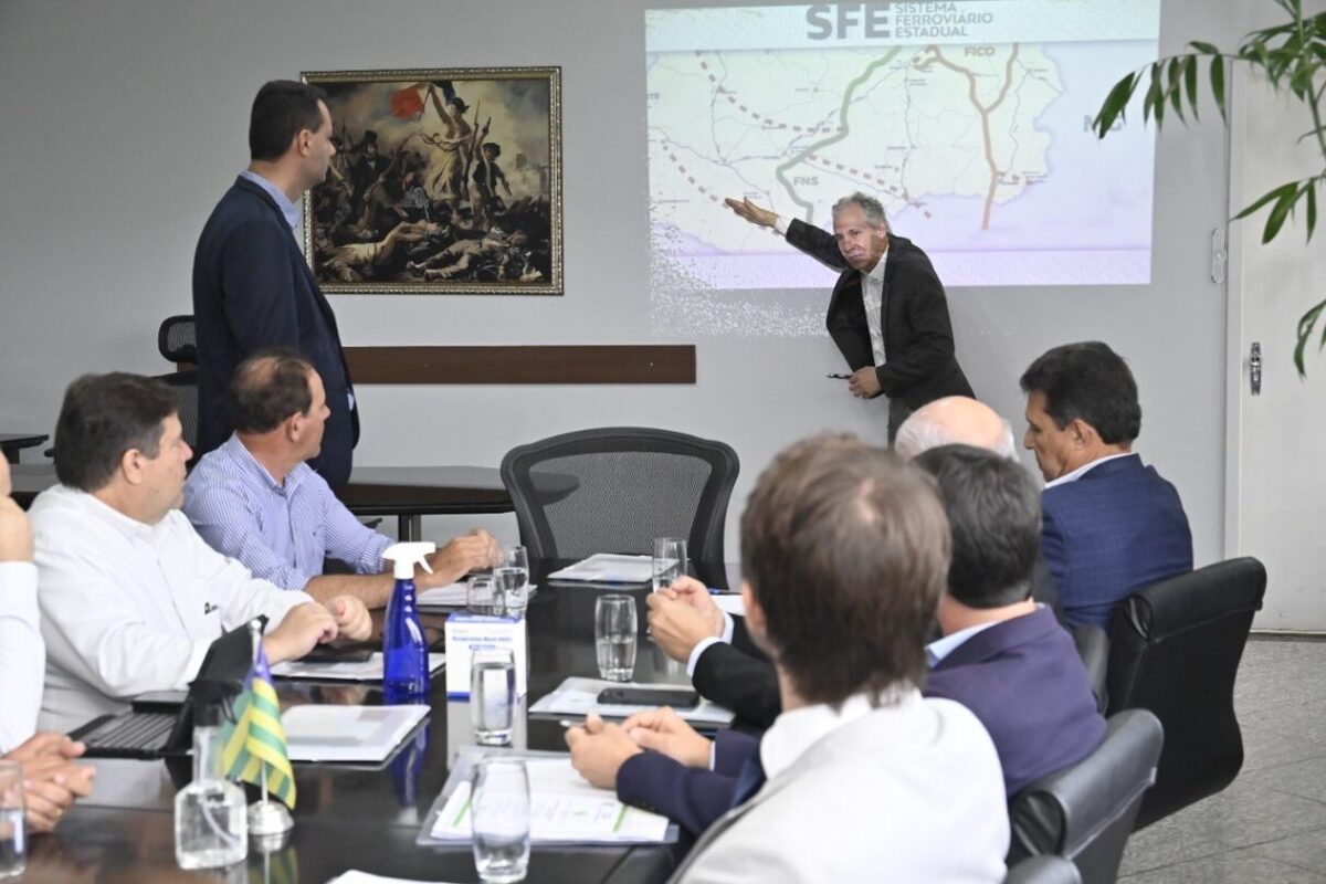 Sistema Ferroviário Estadual de Goiás