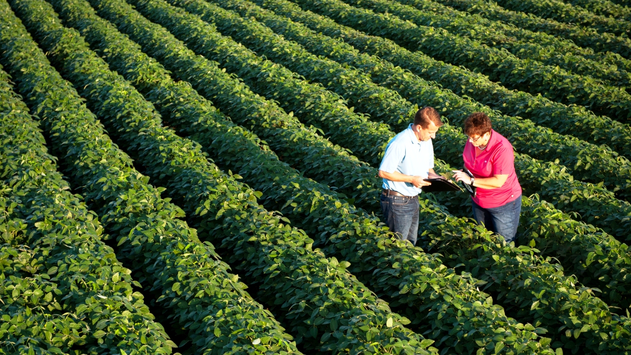 Valor da Produção Agropecuária
