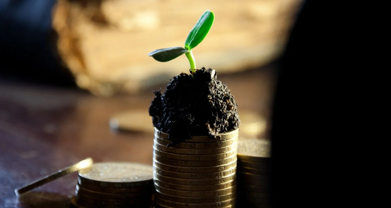 O que é efeito Cantillon e como essa teoria é importante para a nossa economia?