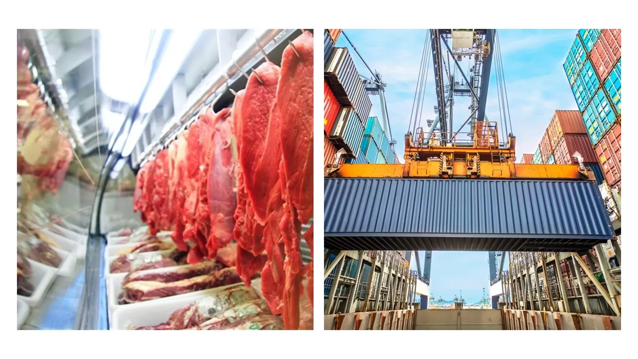 Alta demanda da China pela proteína, fez exportação de carne bovina brasileira bateu recorde, o que fez, em especial, o estado do Mato Grosso, liderar o ranking das exportações no comércio exterior