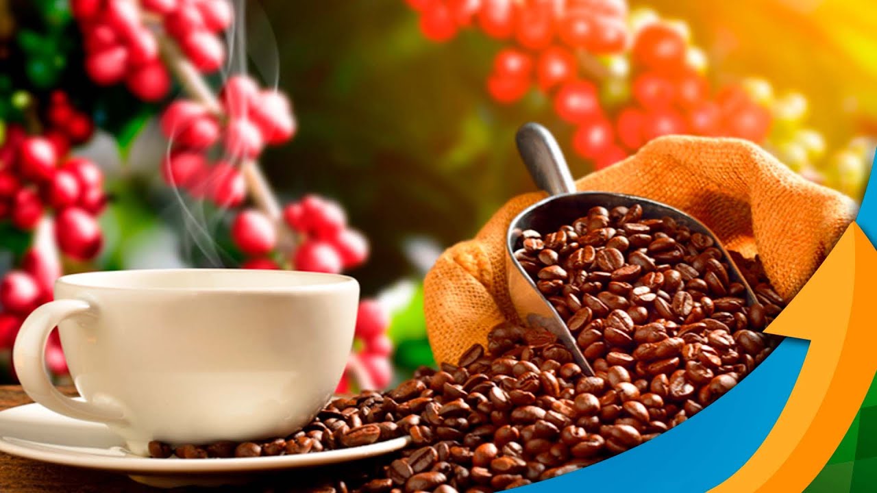 Exportação dos cafés do Brasil