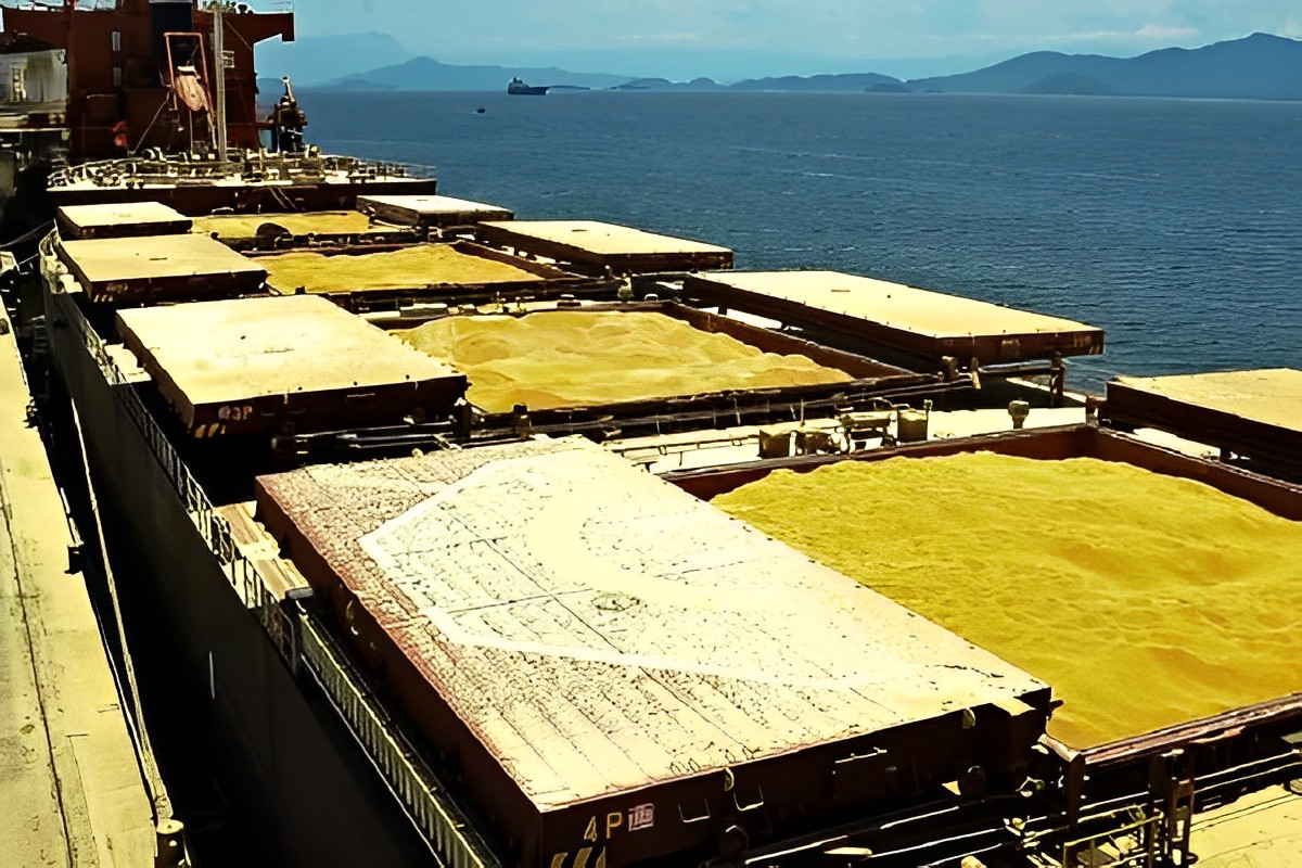 Dólar cai, exportação tem sua paridade limitada e os preços do milho recuam nos portos. Setor do transporte marítimo com expectativas aquecidas