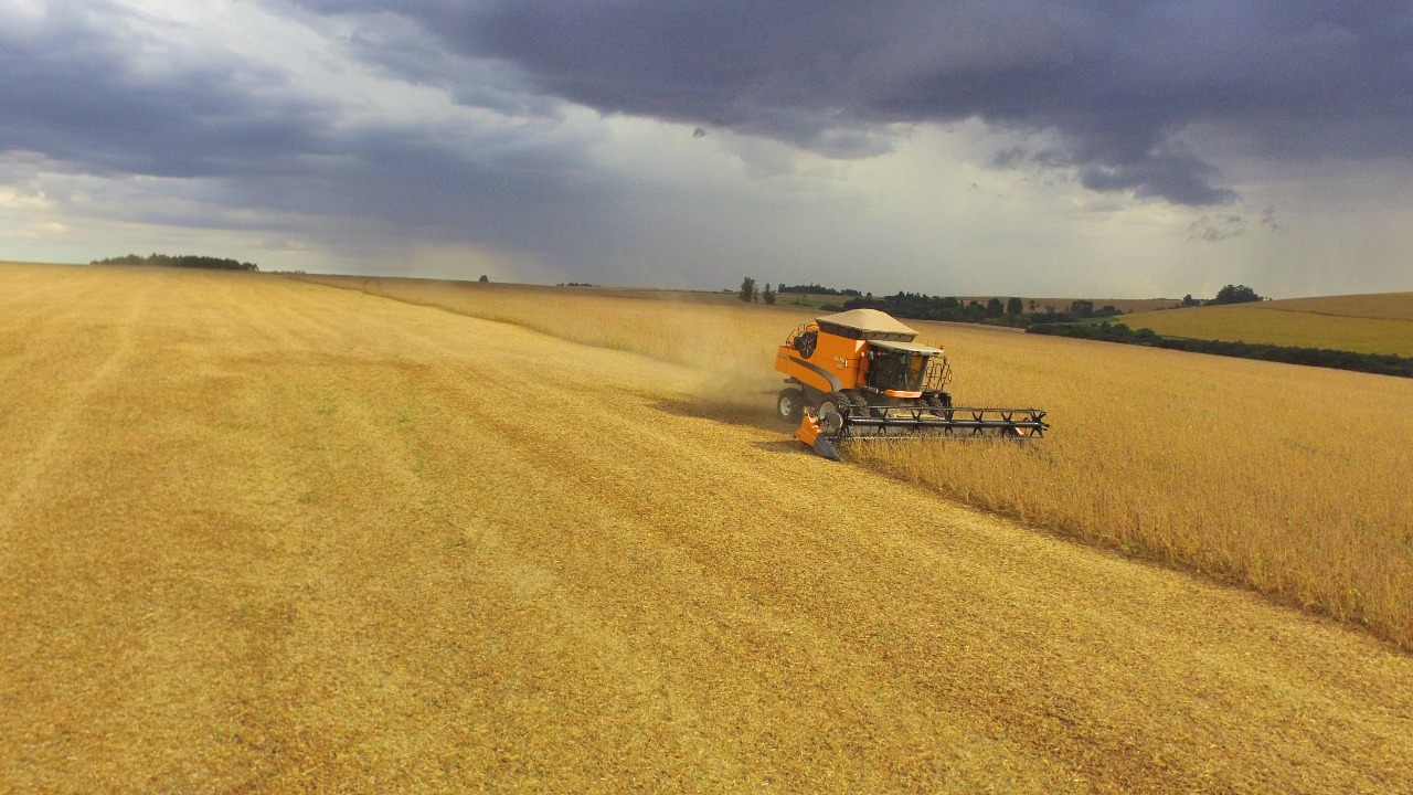Mesmo com perdas, e com uma colheita das safras de soja e milho do Rio Grande do Sul que ainda não começou, safra foi reduzida, mas recorde no agronegócio estão garantido