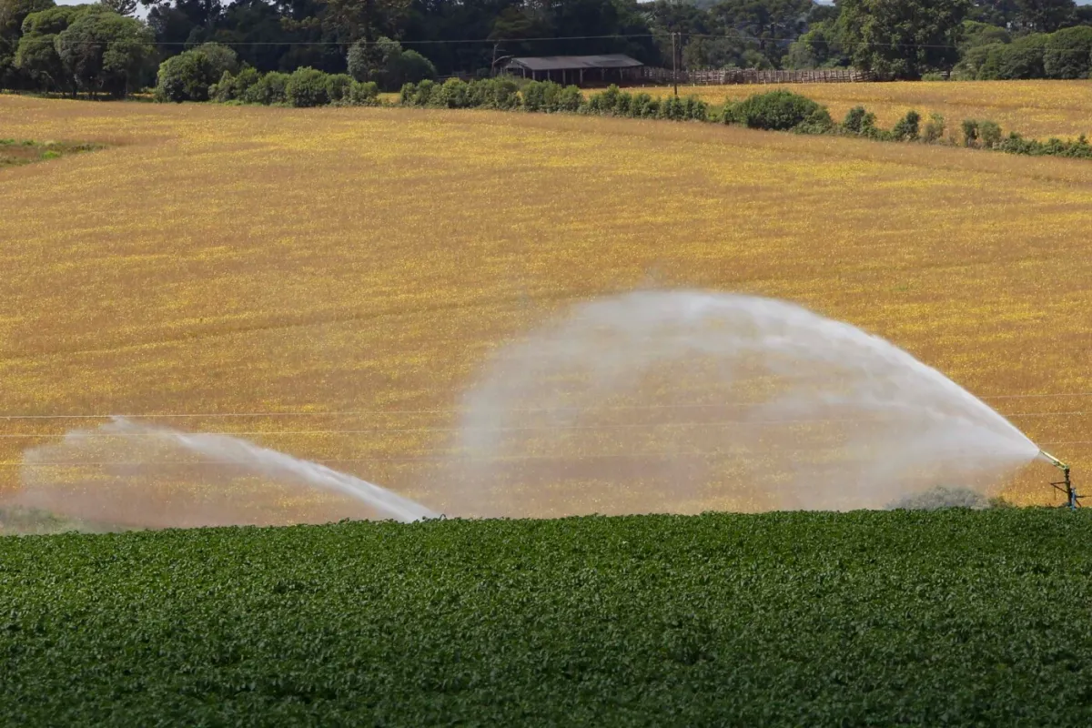 Agricultores do Rio Grande do Sul