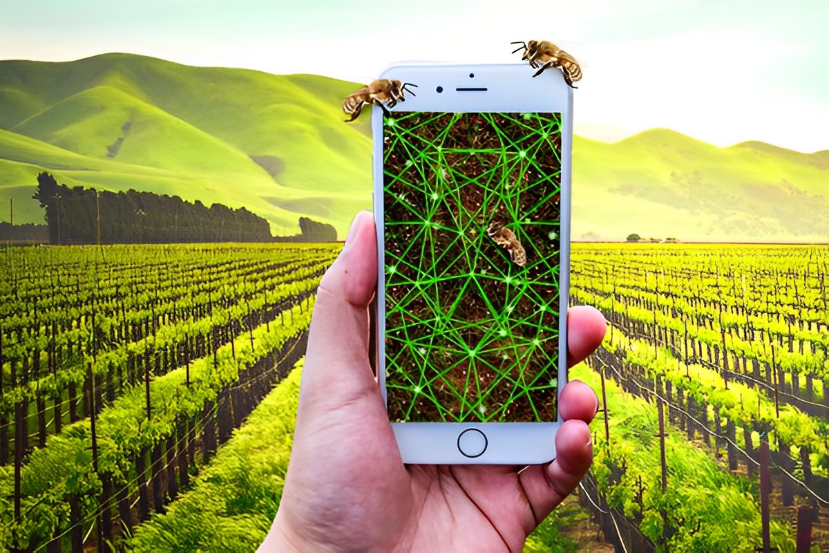 Agronegócio digital