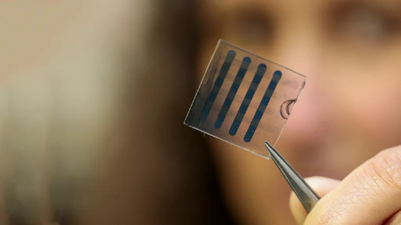 Pesquisadora da USP desenvolve inovadora memória de computador utilizando grafeno