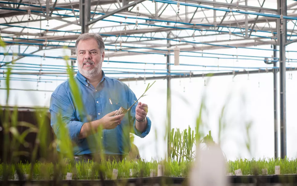 Toyota ao Centro de Tecnologia Canavieira
